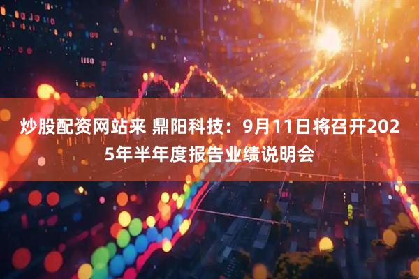 炒股配资网站来 鼎阳科技：9月11日将召开2025年半年度报告业绩说明会
