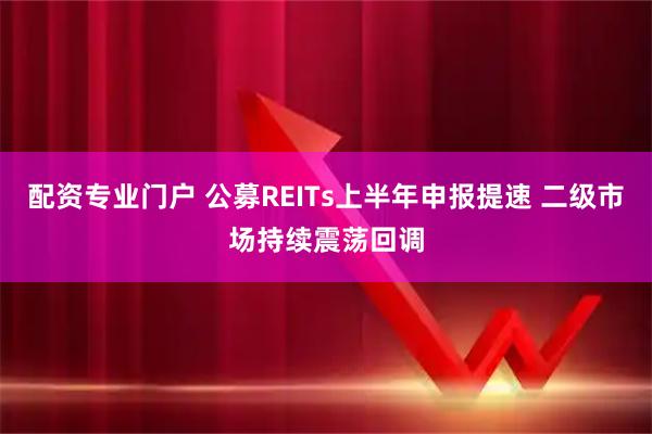 配资专业门户 公募REITs上半年申报提速 二级市场持续震荡回调